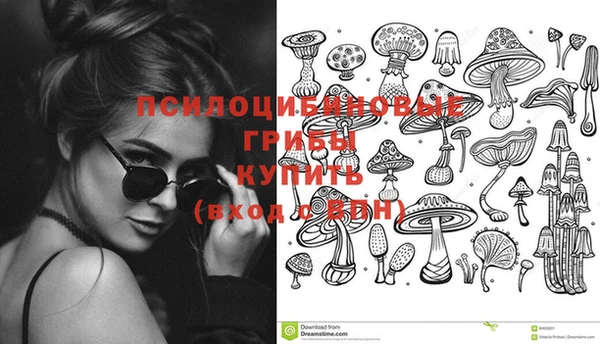 гидропоника Бронницы