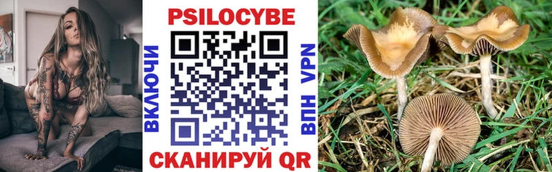 Псилоцибиновые грибы мухоморы  Южа 